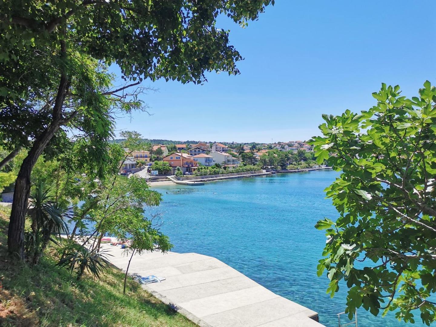 Radosna
